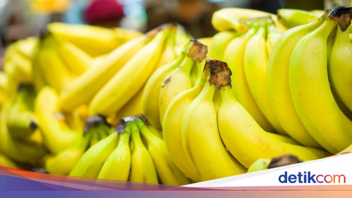 Pisang JOSSS-E: Manisnya Cilacap dalam Setiap Gigitan